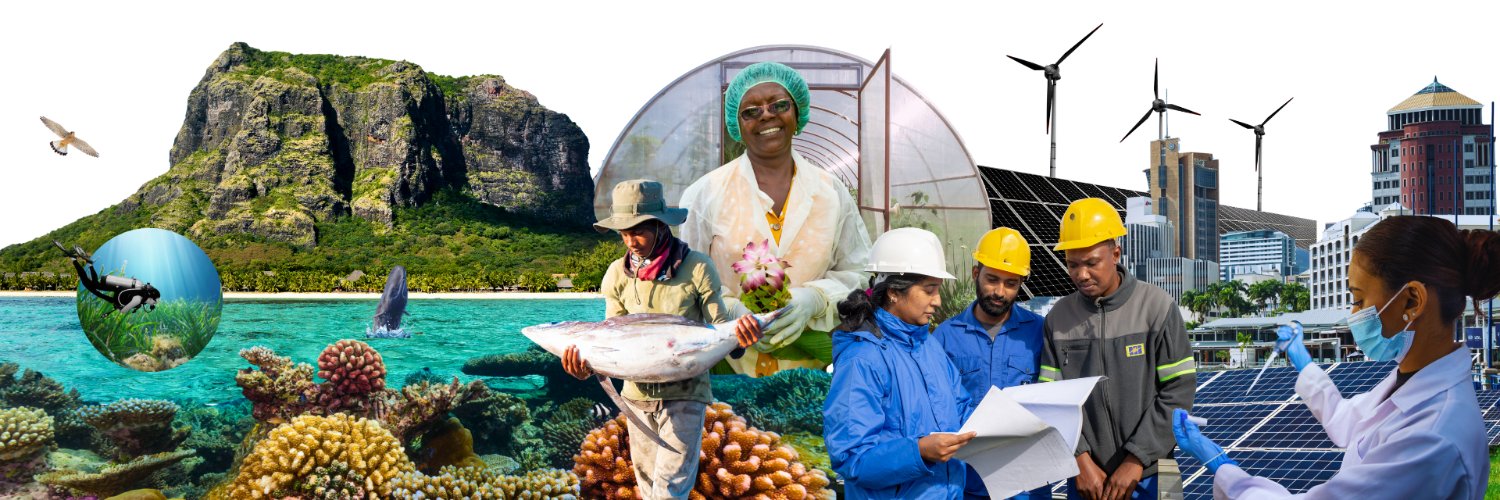 UNDP Mauritius banner