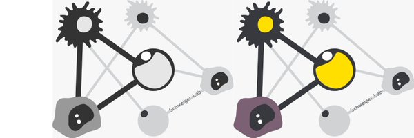MartinaS_lab Profile Banner
