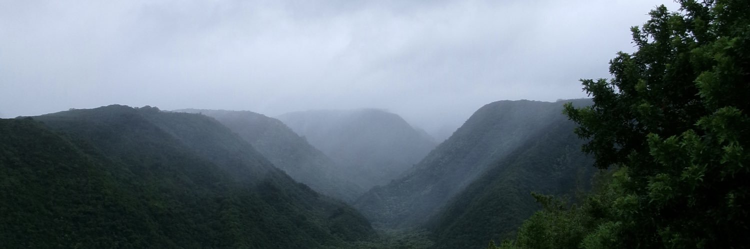 sydneyxtran's profile banner image