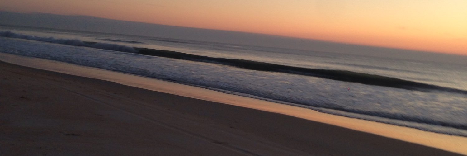 DianaTeel's profile banner image