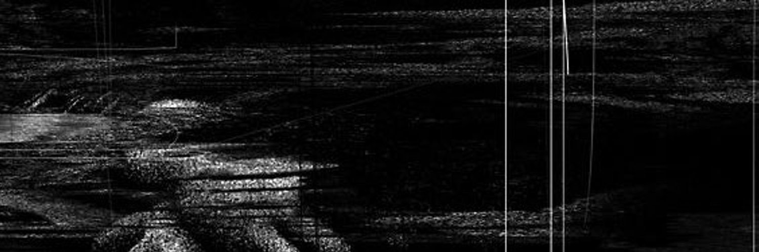rt in fav🐈‍⬛ banner