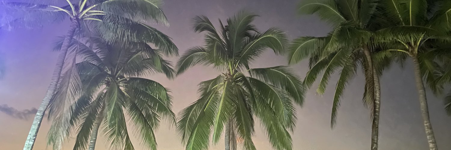 sarahbnlt's profile banner image