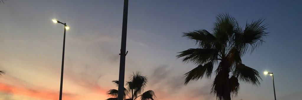 LEE banner