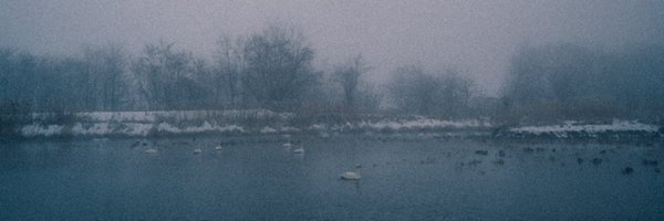 _kanakoara_ Profile Banner