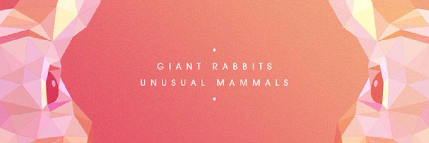 GiantRabbits's profile banner image