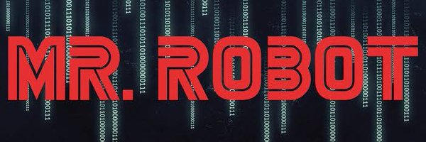 msprogrammerpu1 Profile Banner