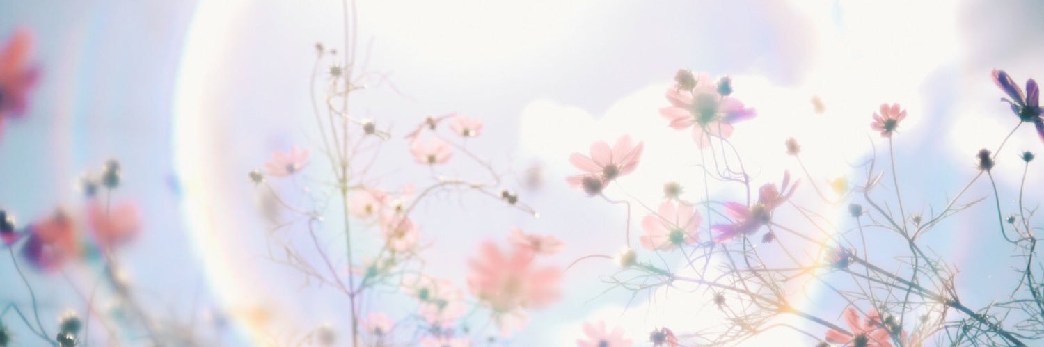 ponta_miracle's profile banner image