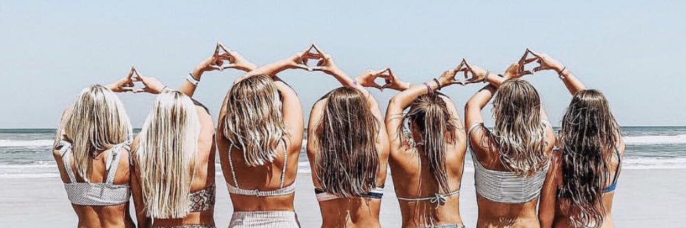 Alpha Gamma Delta banner