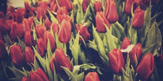 Hannah_Rae44's profile banner image