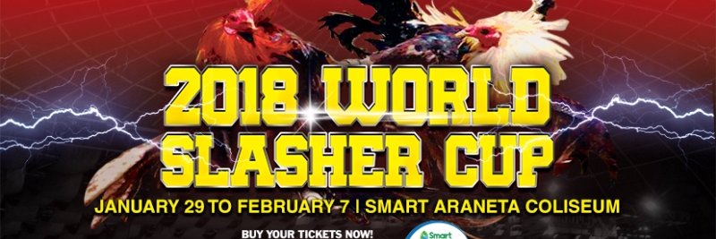 TheWorldSlasher's profile banner image