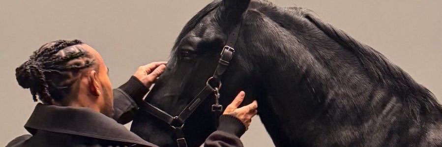 ᥫ᭡ banner