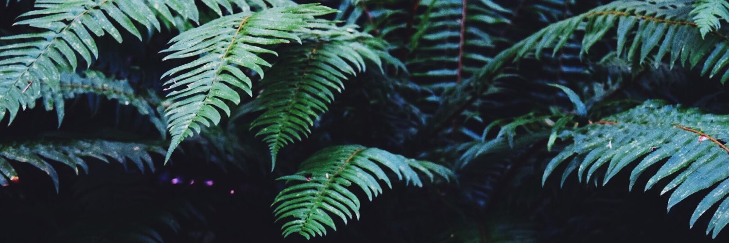 sedonaraeee's profile banner image