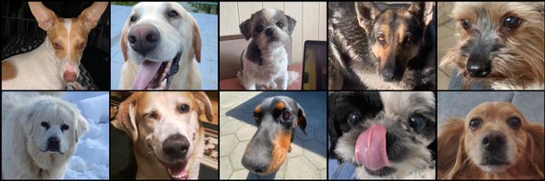 RE4RVIEWZ Profile Banner