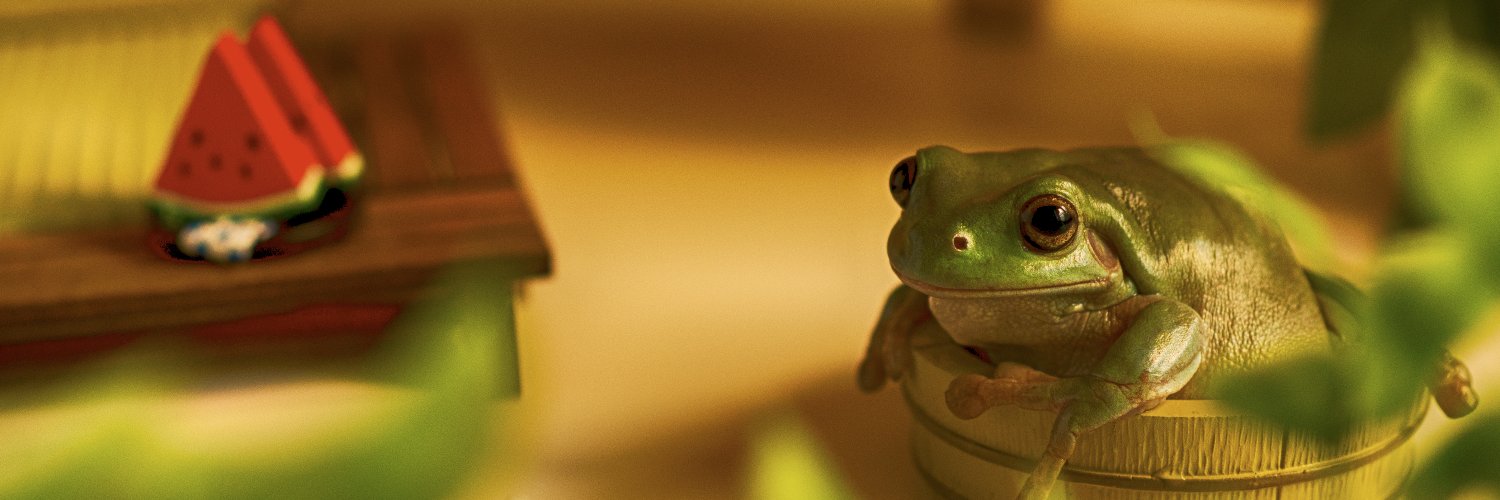 budgettsfrog's profile banner image