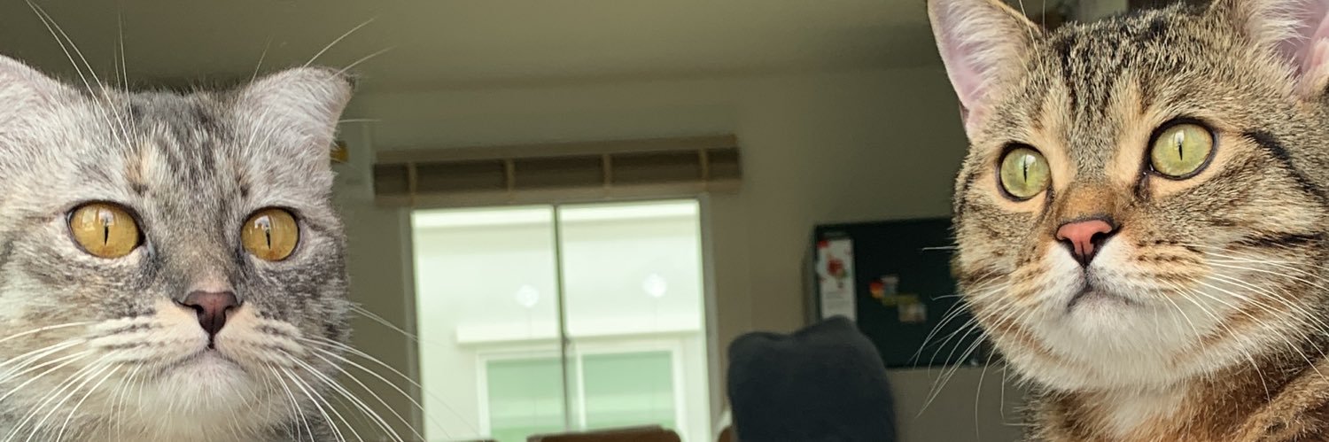 Aom_oneself's profile banner image