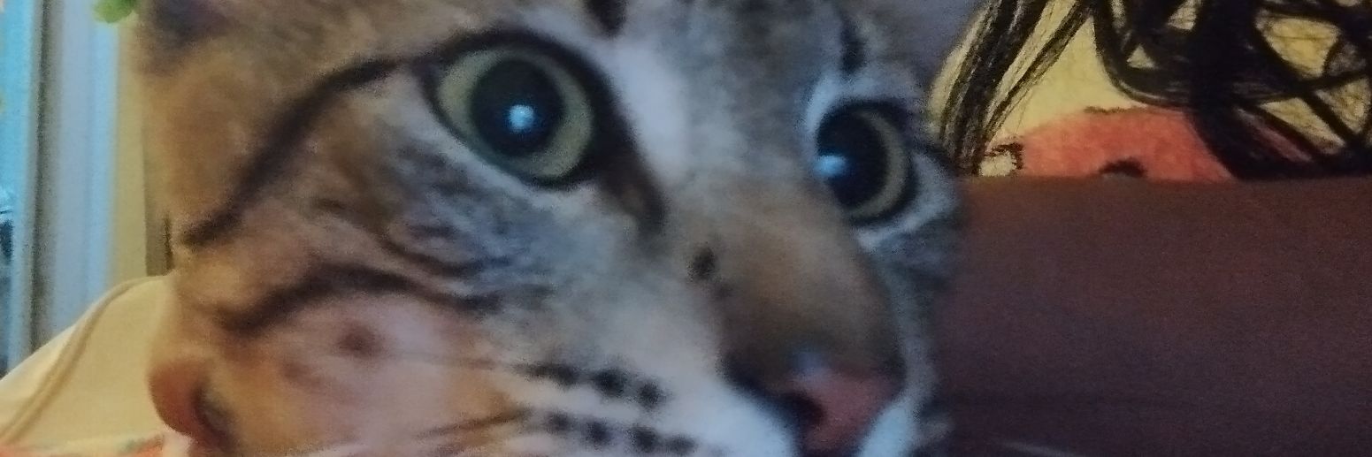 sulax_chucra banner