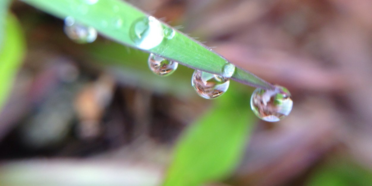 ustadzariscom's profile banner image
