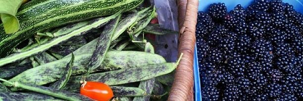 glynis powell banner