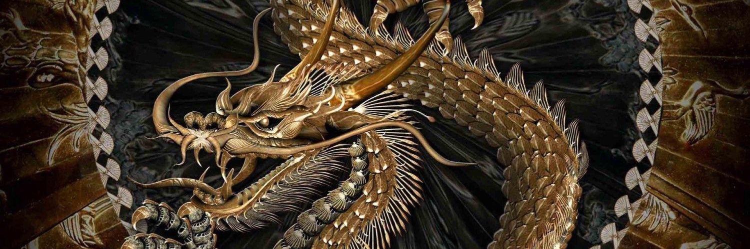 civanemre's profile banner image