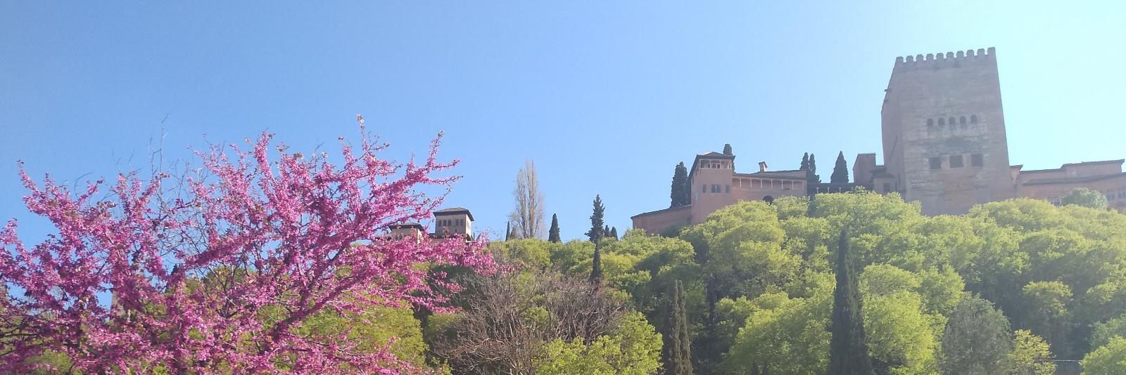 María Rodriguez-Ayllon banner