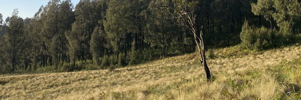 gadaakhlakk_ Profile Banner