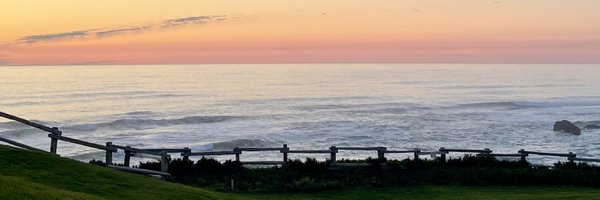 H95347783 Profile Banner