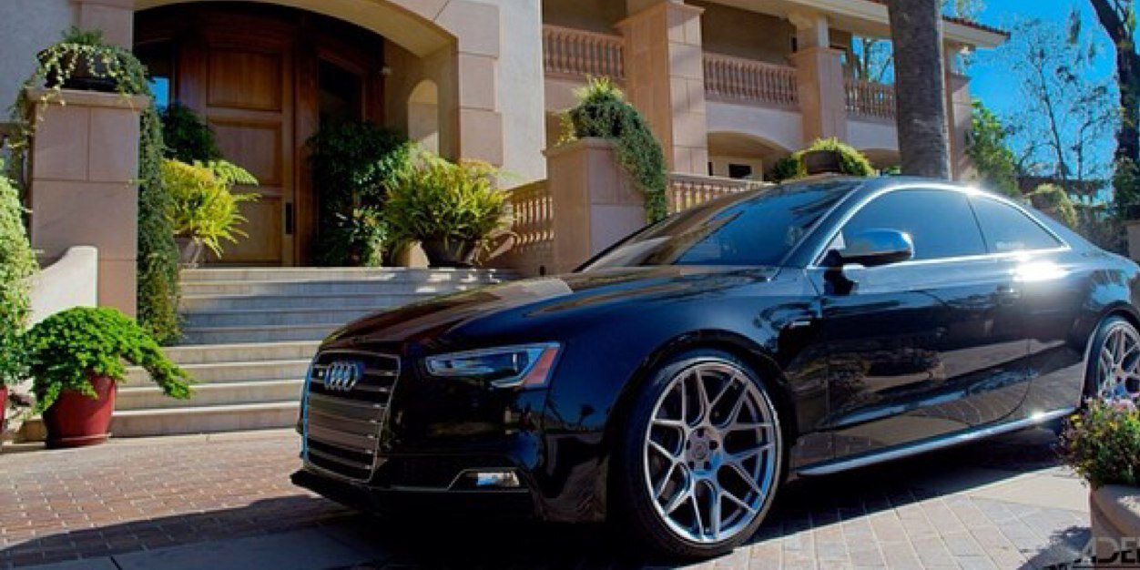 anthony didomenico ♛ banner