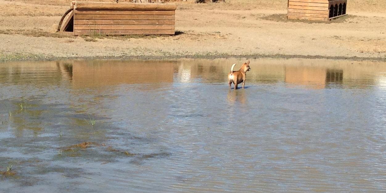 Jeanette Mitchell banner