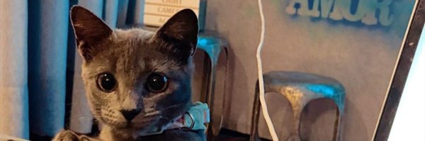 eaeqquel Profile Banner