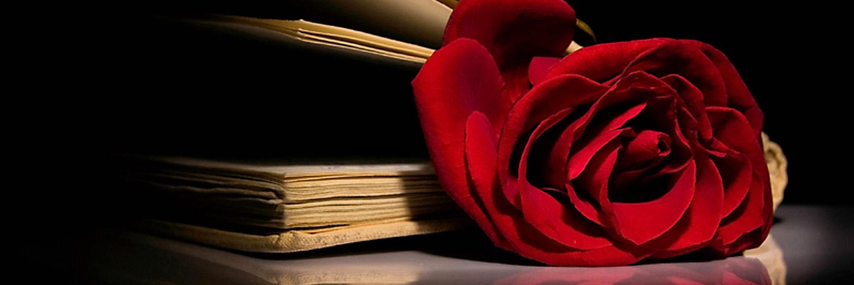 RmTwts's profile banner image