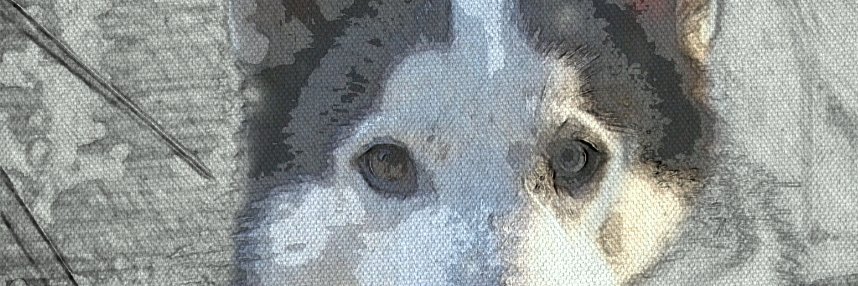 Foorbie's profile banner image