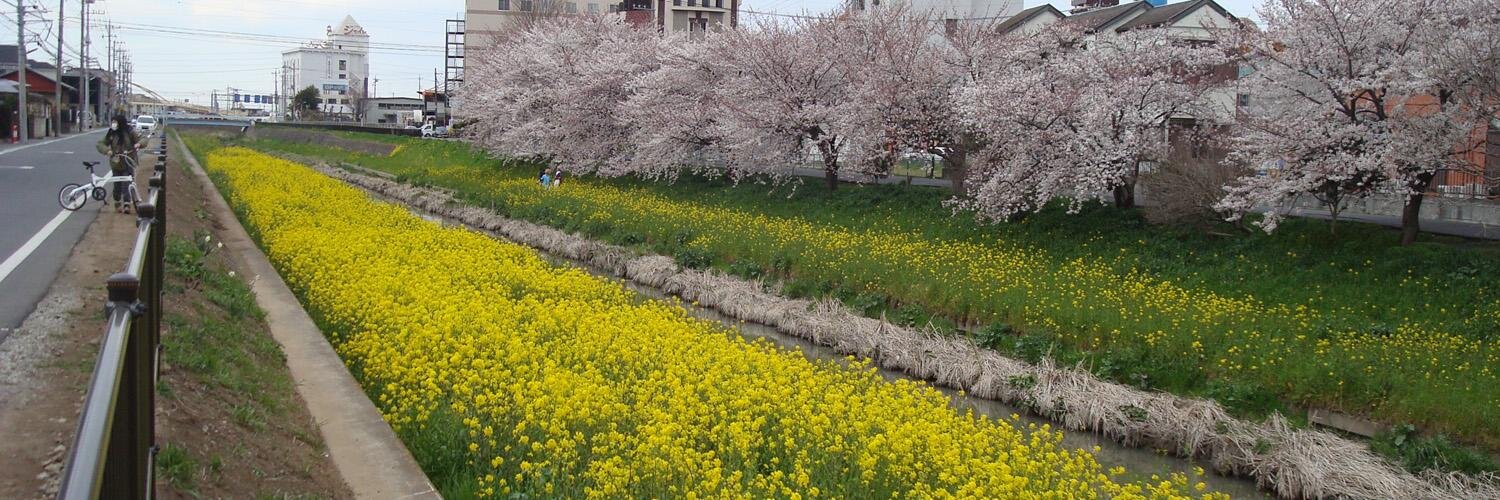 ぱんぷ◆愛はステロイド／サブスタンス／2001年宇宙の旅／恋愛裁判／旅と日々／ウォーフェア／イント… banner