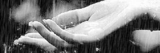 totalgrief18's profile banner image