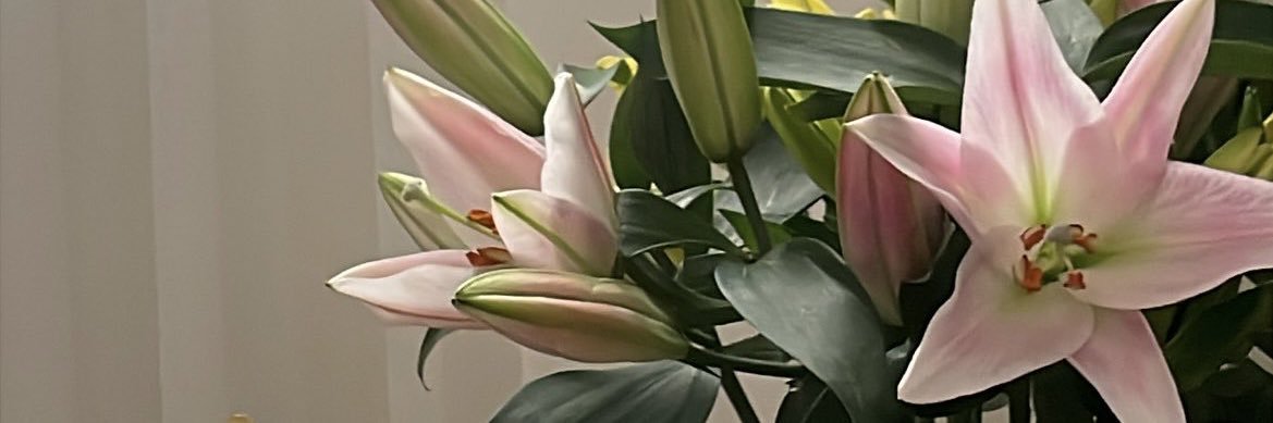 bysaaara's profile banner image