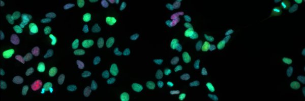 sandhya_manohar Profile Banner