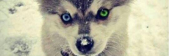 _Angelesem's profile banner image
