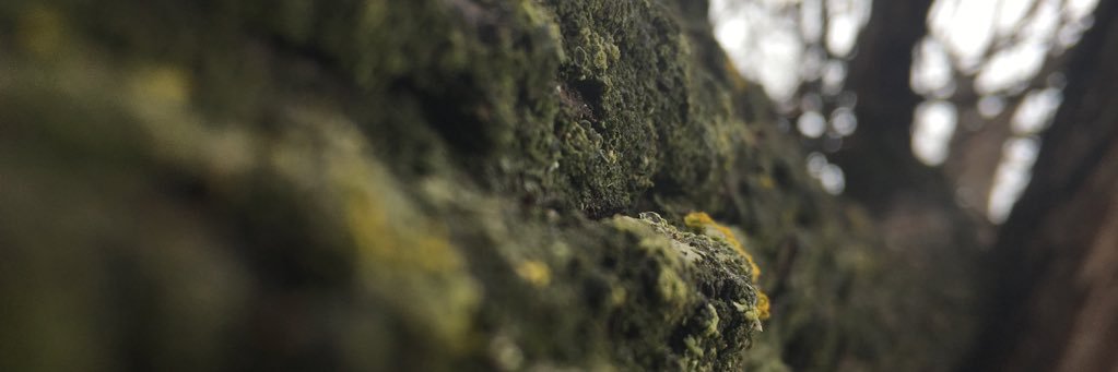 SethBussinger's profile banner image