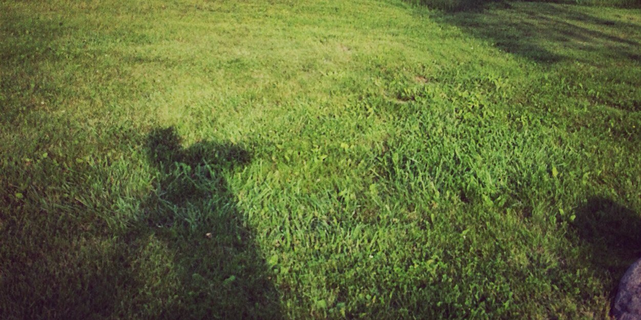 doug_zell's profile banner image
