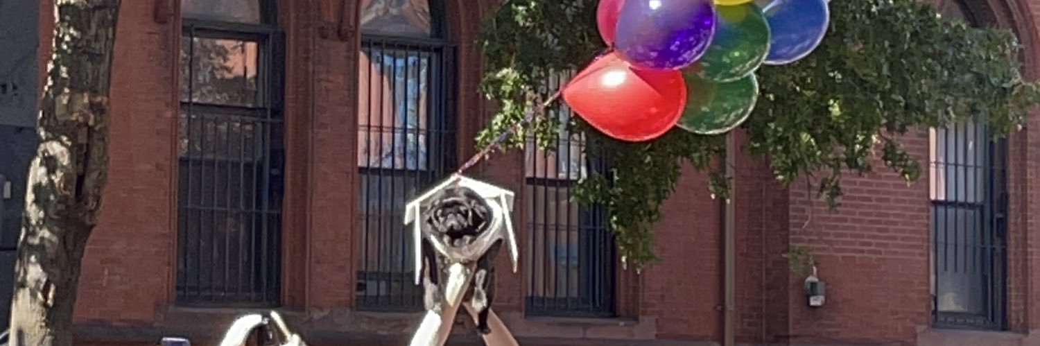 Molly Liebergall's banner
