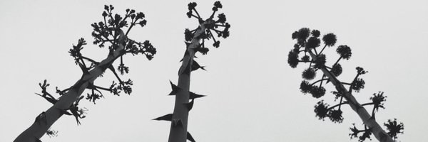 bluebleuazul Profile Banner