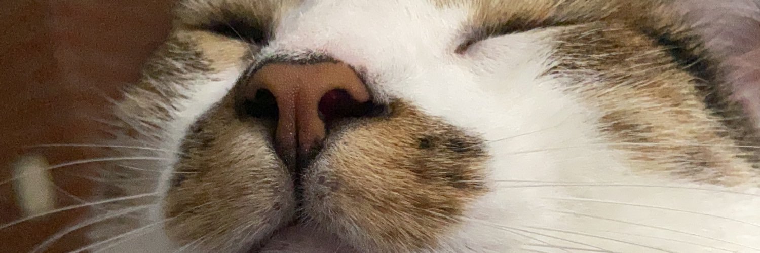 AldiGarbuglia's profile banner image