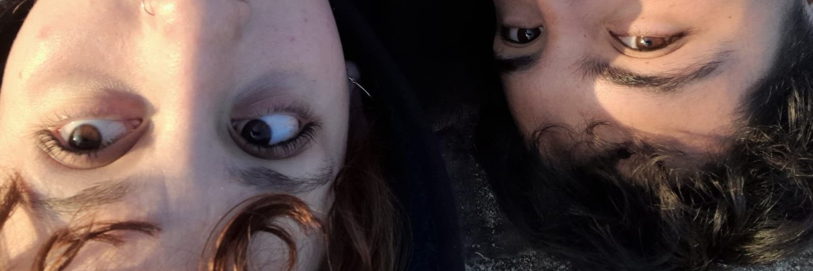 DPolvii's profile banner image