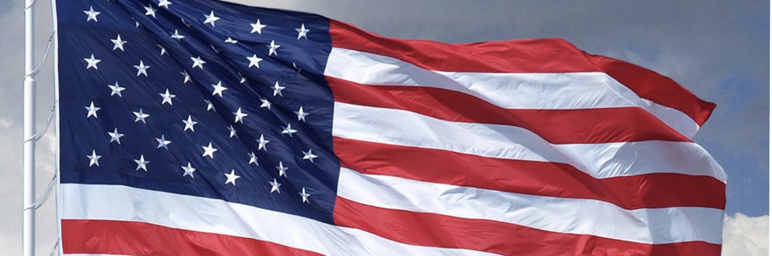 🦎TwistedSister 🇺🇸's banner