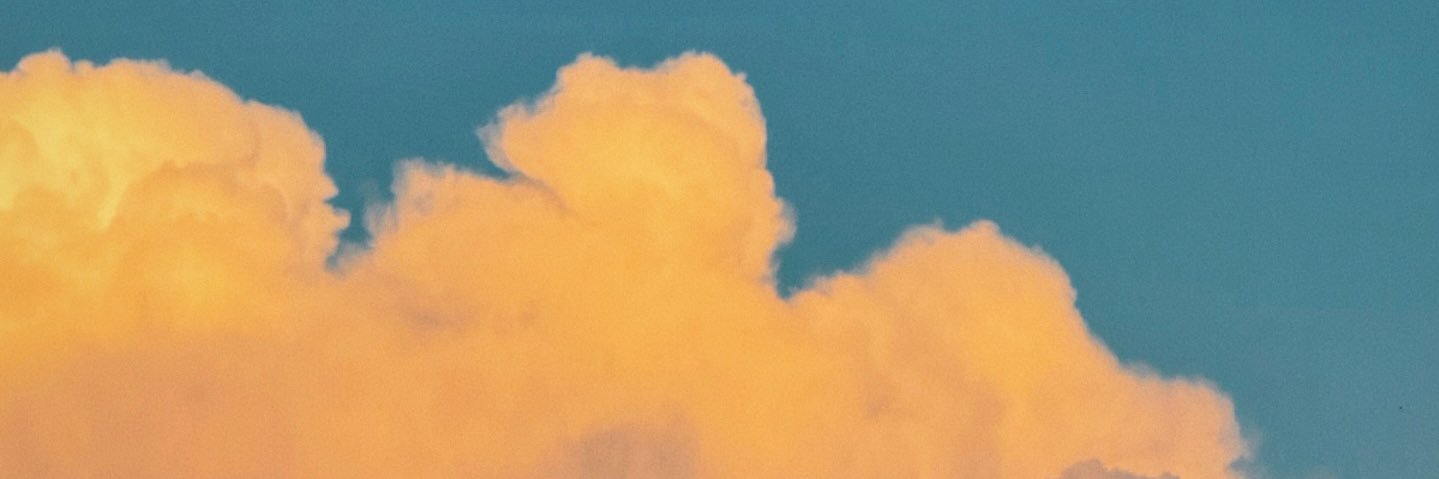 炸洋芋加折耳根 banner
