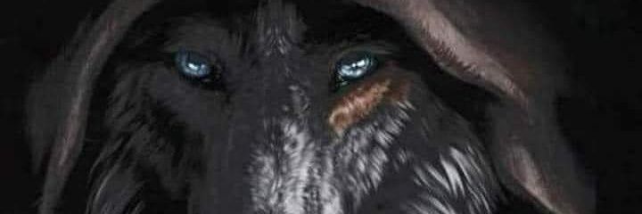 ReasonMachine's profile banner image