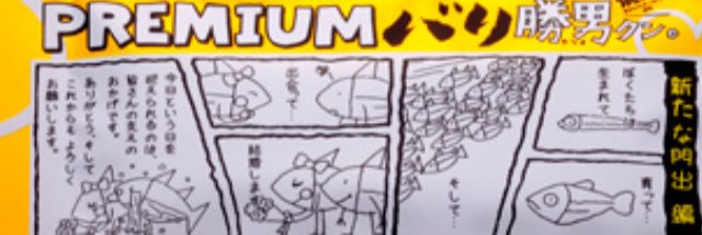 koazi's profile banner image