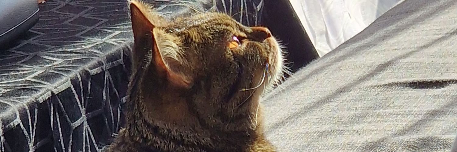 Douceurdiary's profile banner image