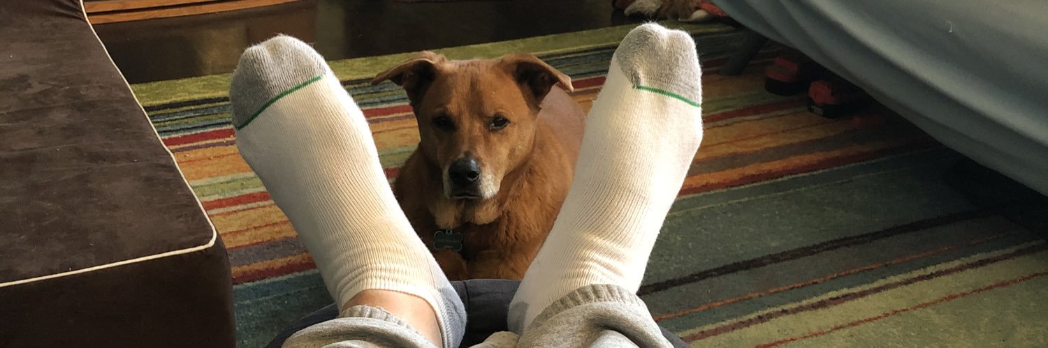 riceme69's profile banner image