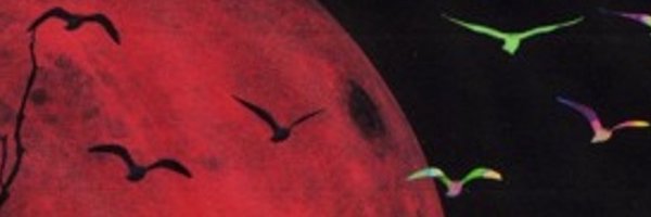 Stexls Profile Banner