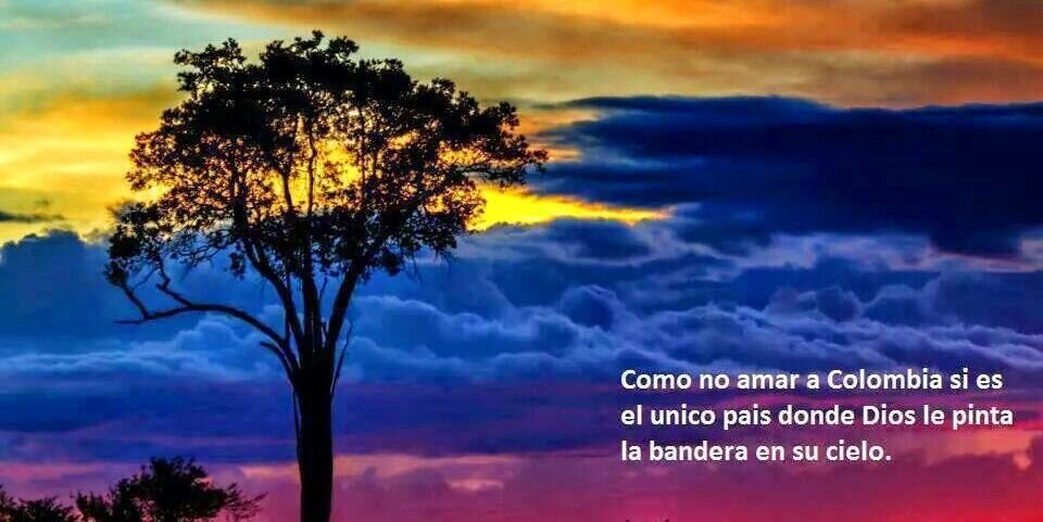 danielescobar51's profile banner image